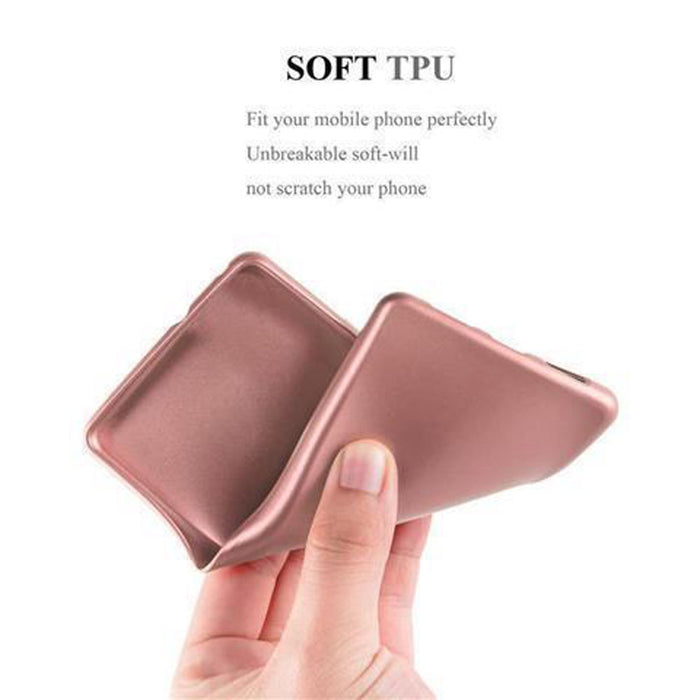 Rosa / NOVA PLUS