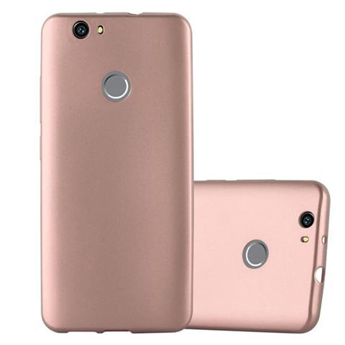 Rosa / NOVA