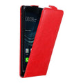 Rot / P9
