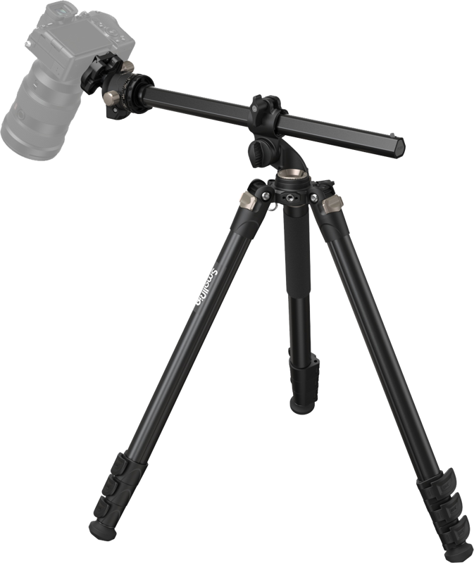 fn:126297:02