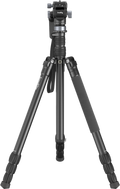 fn:125021:01