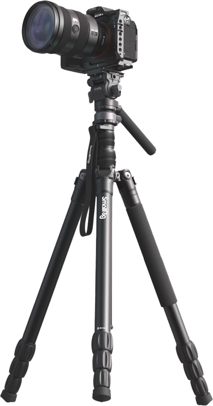 fn:125021:06