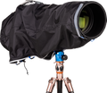 fn:116850:01